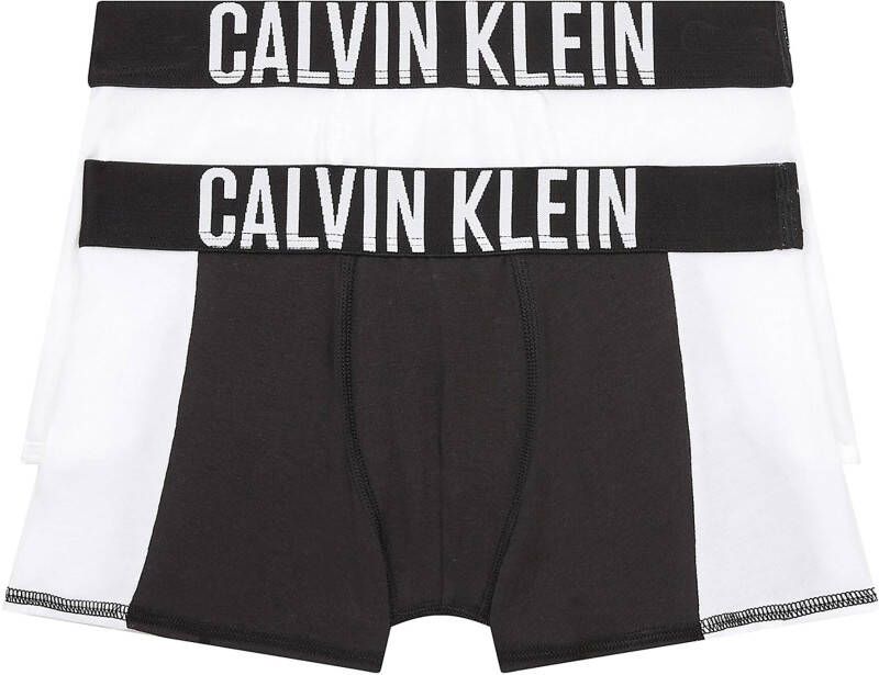 Calvin Klein Underwear Boxershort met labelopschrift in een set van 2 stuks