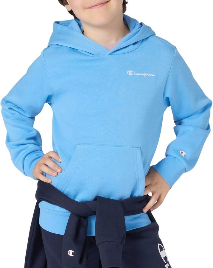 Champion Icons Small Logo Hoodie Junior