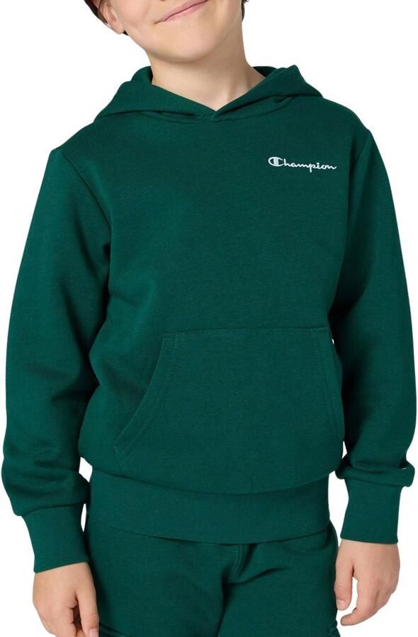 Champion Icons Small Logo Hoodie Junior