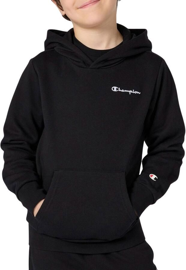 Champion Icons Small Logo Hoodie Junior