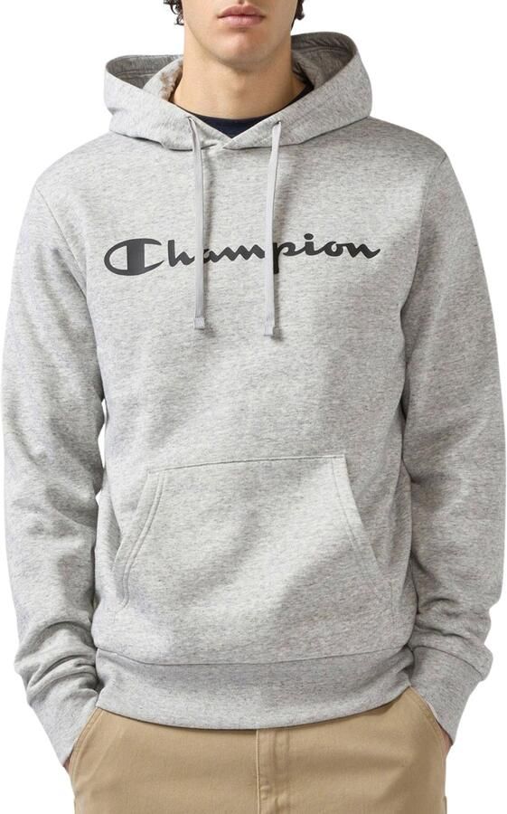 Champion Hoodie BASICS Fleece Hoodie Large Logo (1-delig) - Foto 7