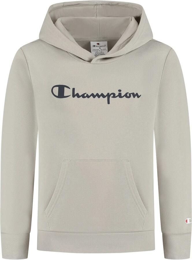 Champion Script Logo Hoodie Junior