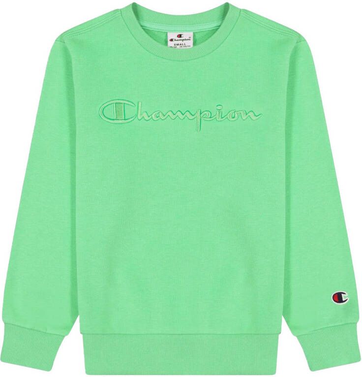 Champion Embroidered Terry Sweater Jongens