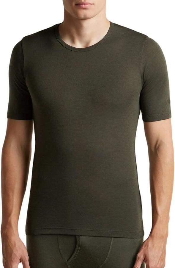 Icebreaker 175 Everyday SS Crewe Thermoshirt Heren