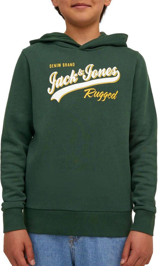 jack & jones Essentials Logo Hood 2 Hoodie Junior