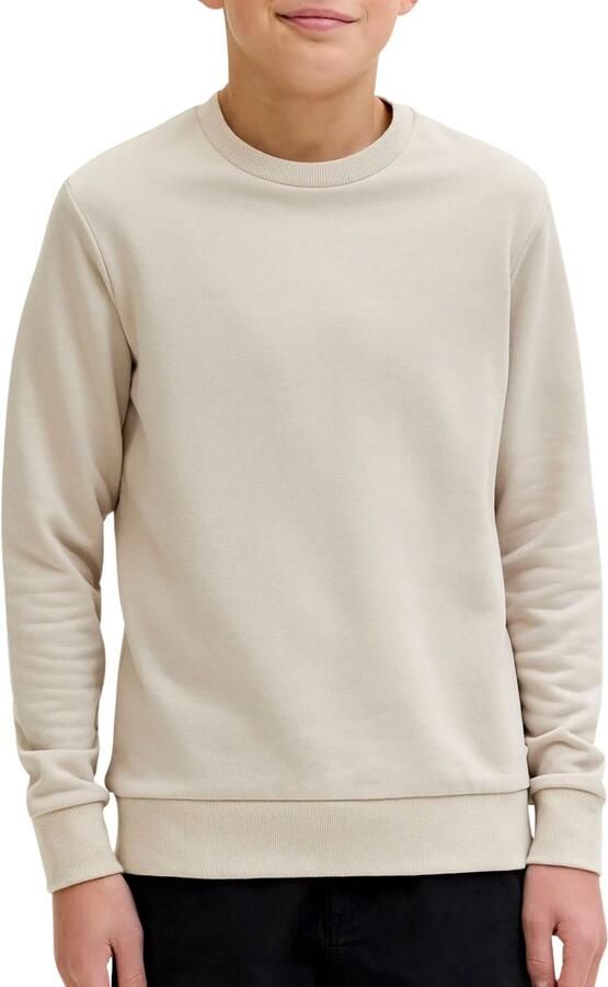 Jack & jones JUNIOR sweater JJEBRADLEY ecru Jongens Polyester Ronde hals 116 - Foto 3