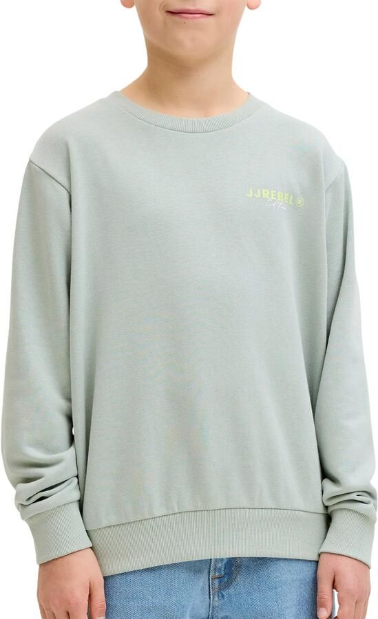 Jack & jones JJ Rebel Hayden Crew Neck Sweater Jongens
