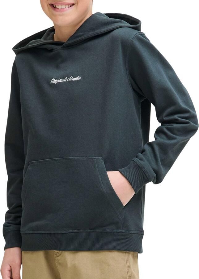 Jack & Jones Junior Hoodie JORNORREBRO EMB SWEAT HOOD NOOS JNR - Foto 8