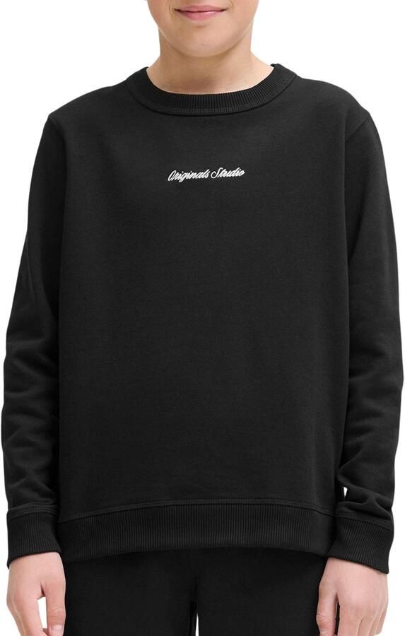 Jack & Jones Junior Sweatshirt JORNORREBRO EMB SWEAT CREW NOOS JNR - Foto 8