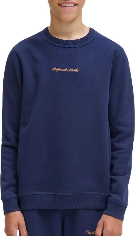 Jack & Jones Junior Sweatshirt JORNORREBRO EMB SWEAT CREW NOOS JNR - Foto 8