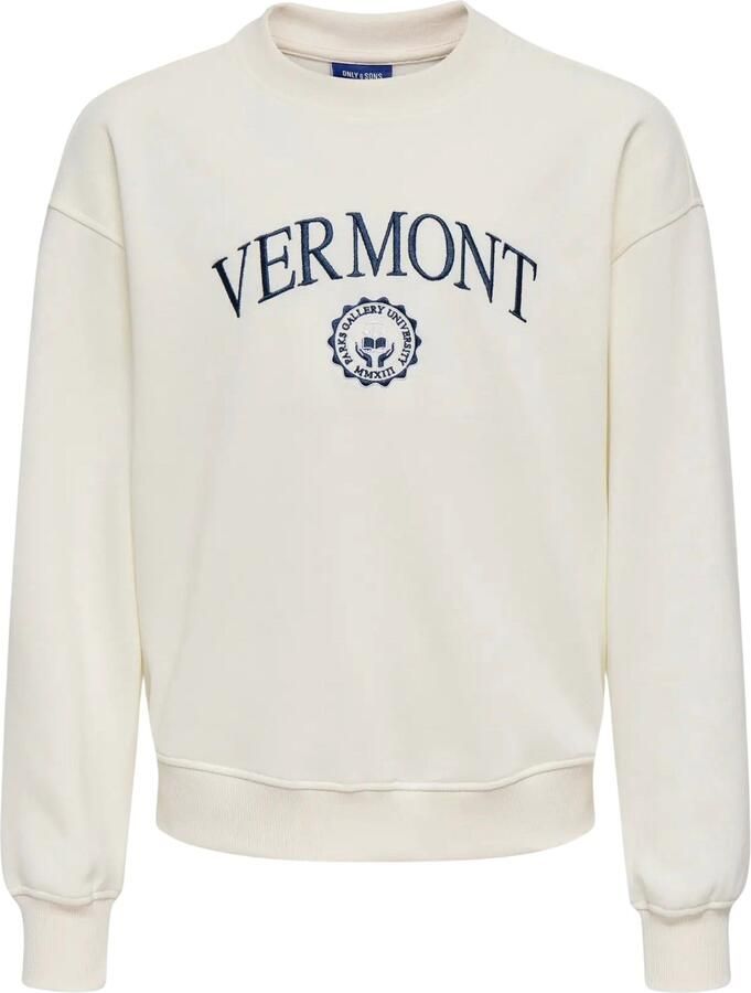 ONLY & SONS JUNIOR sweater met borduursels en tekst ecru - Foto 2
