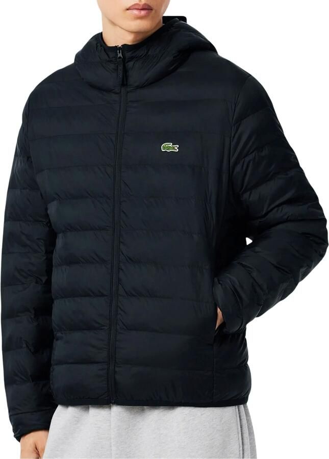 Lacoste Regular fit donsjack met logopatch