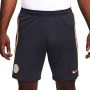 Nike Chelsea FC Strike knit voetbalshorts met Dri-FIT voor heren Blauw - Thumbnail 2