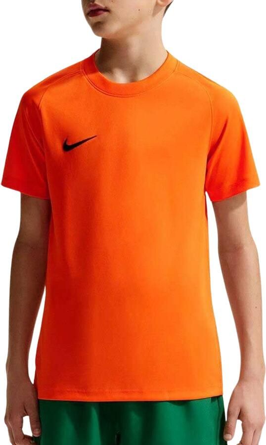 Nike Dri-FIT Park VIII SS Shirt Junior
