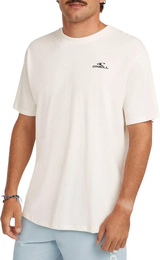 O'Neill Small Logo T-shirt Heren