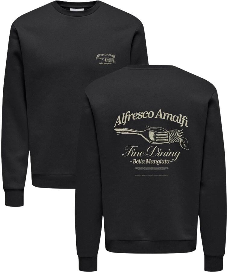 Only & Sons Alfresco Crew Neck Sweater Heren