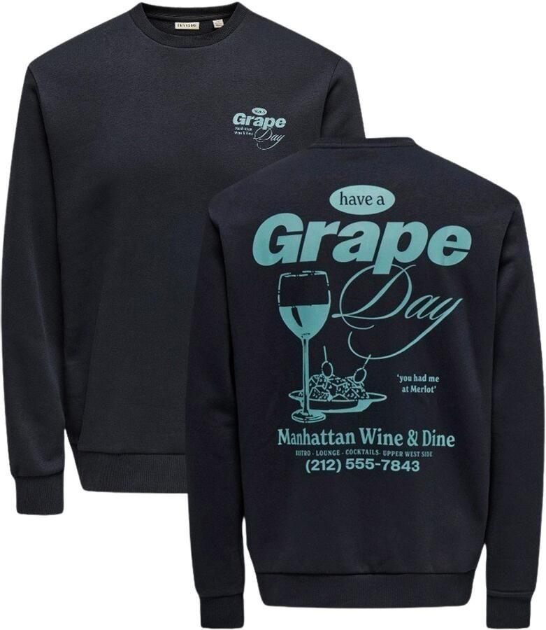 Only & Sons Alfresco Crew Neck Sweater Heren