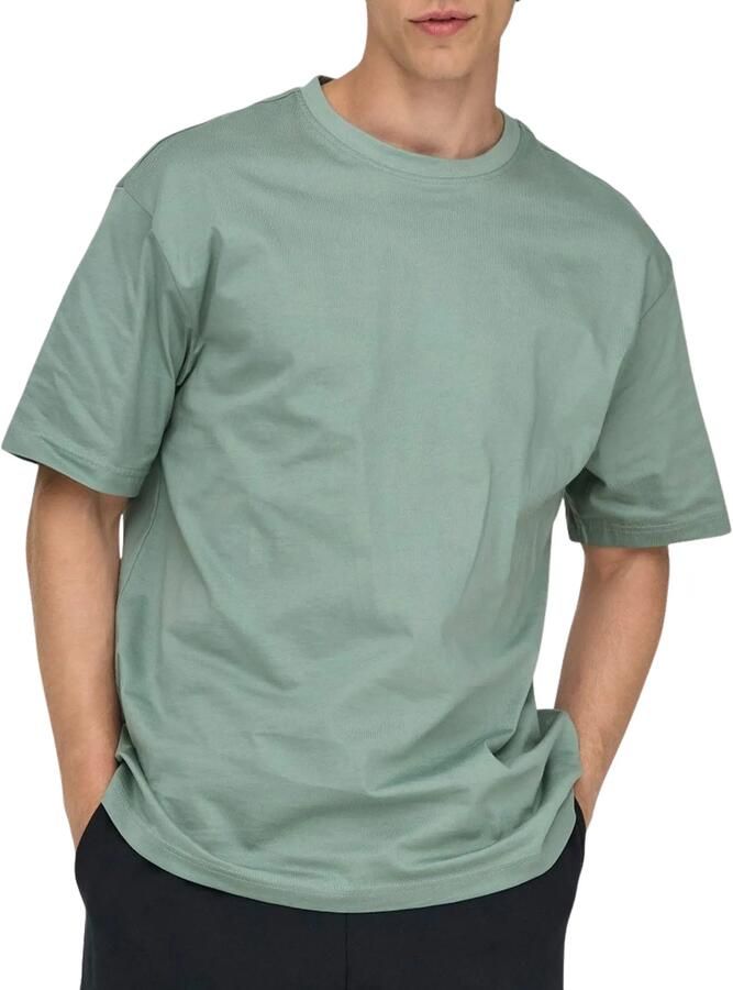 Only & Sons relaxed fit T-shirt van puur katoen model 'FRED LIFE'