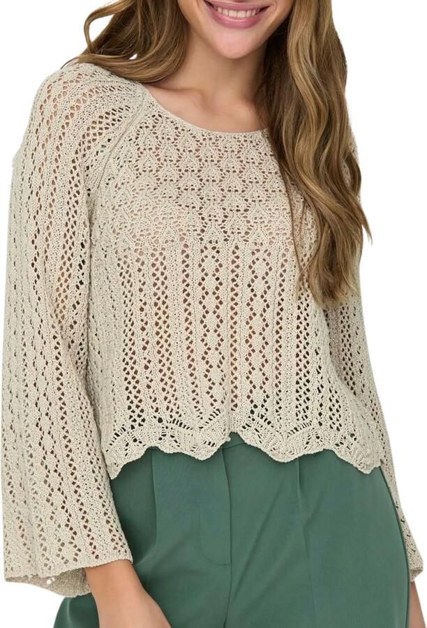 Only Korte gebreide pullover met all-over broderie anglaise model 'NOLA'