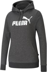 Puma Sweatshirts & Hoodies Grijs Dames