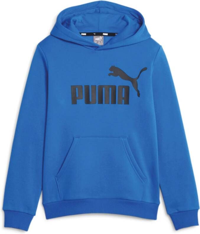 Puma Essential Hoodie Junior