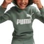 Puma Essentials Hoodie Met Groot Logo Jongeren - Thumbnail 1