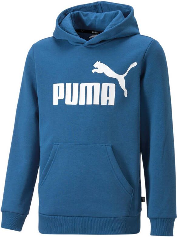 Puma Essential Logo Hoodie Junior
