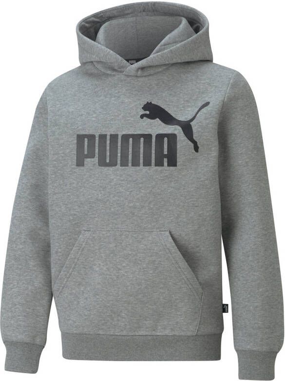 Puma Essentials Big Logo Hoodie Junior