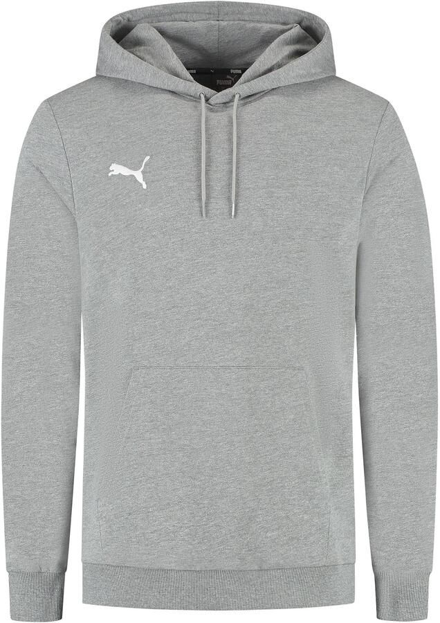 Puma Teamgoal Casual Hoodie Senior