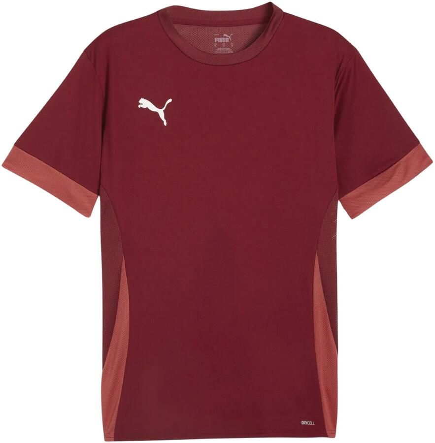 Puma TeamGOAL Matchday Shirt Heren