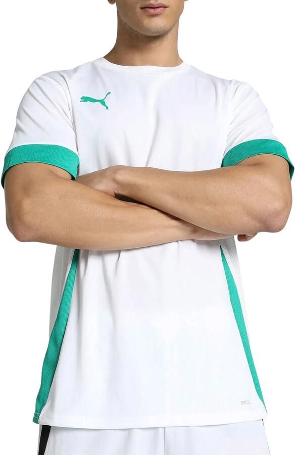 Puma TeamGOAL Matchday Shirt Heren