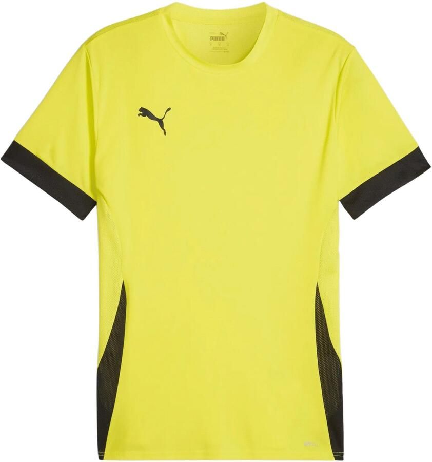 Puma TeamGOAL Matchday Shirt Heren