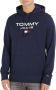 Tommy Jeans Donkerblauwe Trui Tjm Reg Entry Hoodie - Thumbnail 3