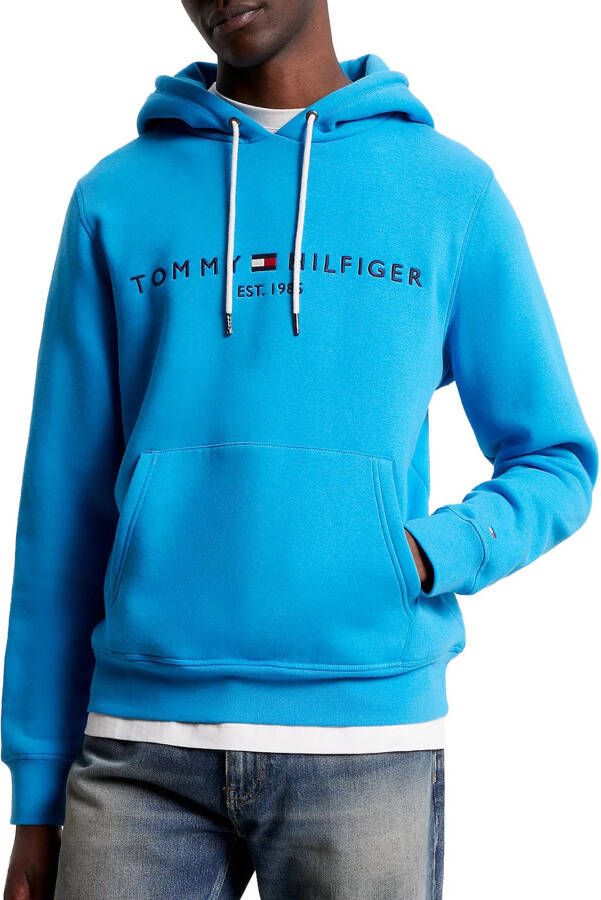 Tommy Hilfiger Heren Verstelbare Hoodie Blue Heren