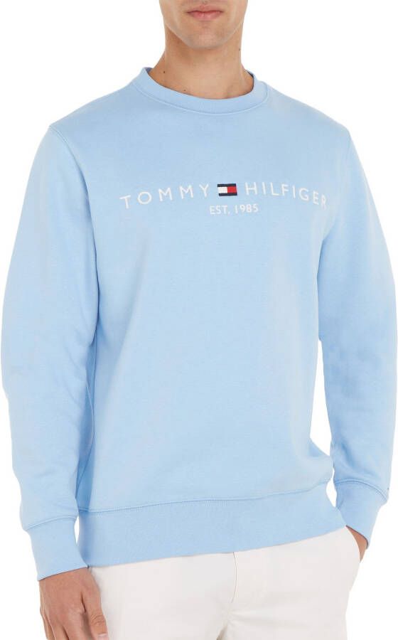 Tommy Hilfiger Sweater Heren