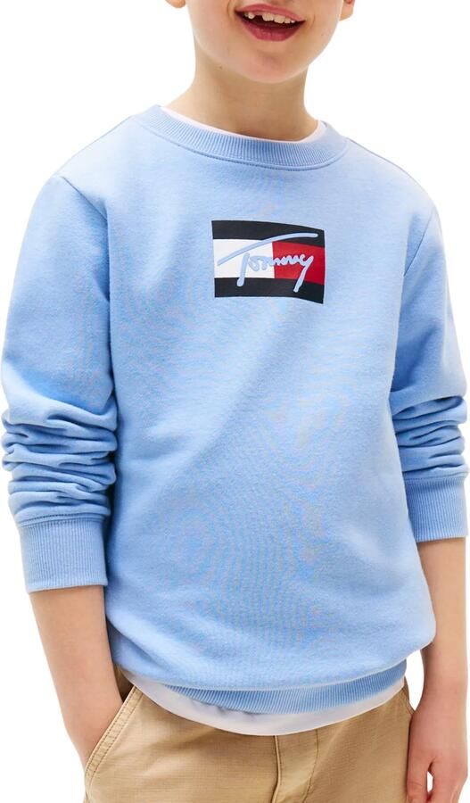 Tommy Hilfiger Sweatshirt TOMMY SCRIPT FLAG SWEATSHIRT voor kinderen tot 16 jaar vlag-logo-print - Foto 7