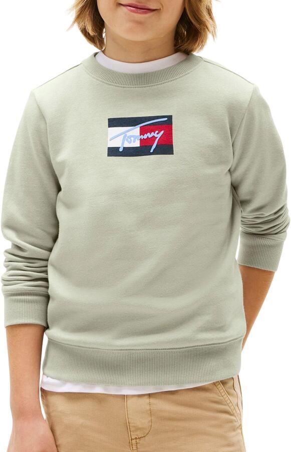 Tommy Hilfiger Sweatshirt TOMMY SCRIPT FLAG SWEATSHIRT voor kinderen tot 16 jaar vlag-logo-print - Foto 7