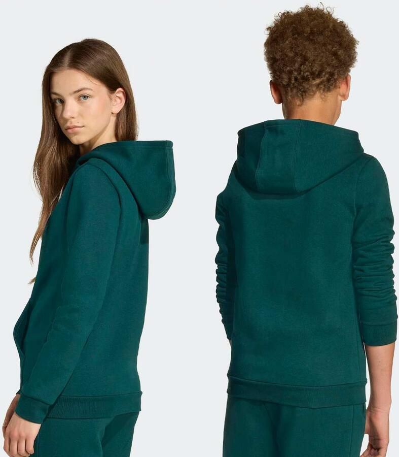 Adidas Originals Hoodie Unisex Hoodies & Sweaters groen Kleding