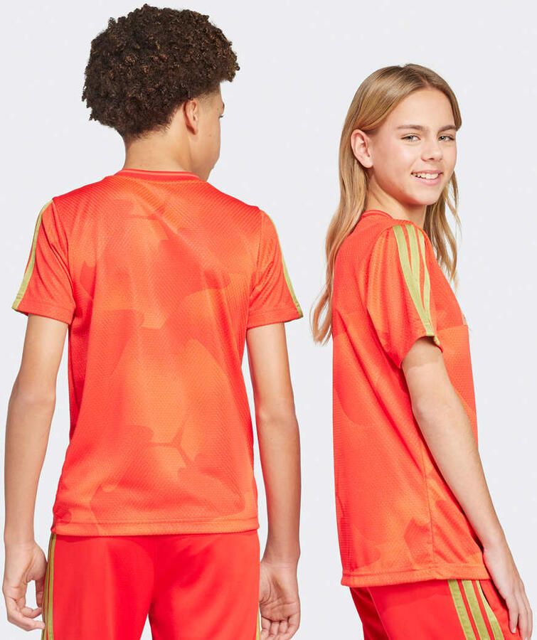 Adidas Originals Sportswear T-Shirt Unisex Jersey's rood Kleding