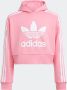 Adidas Originals Hoodie ADICOLOR CROPPED HOODIE - Thumbnail 3
