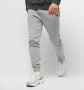 Alpha industries Basic Joggers SL 116370 Grijs Heren - Thumbnail 2
