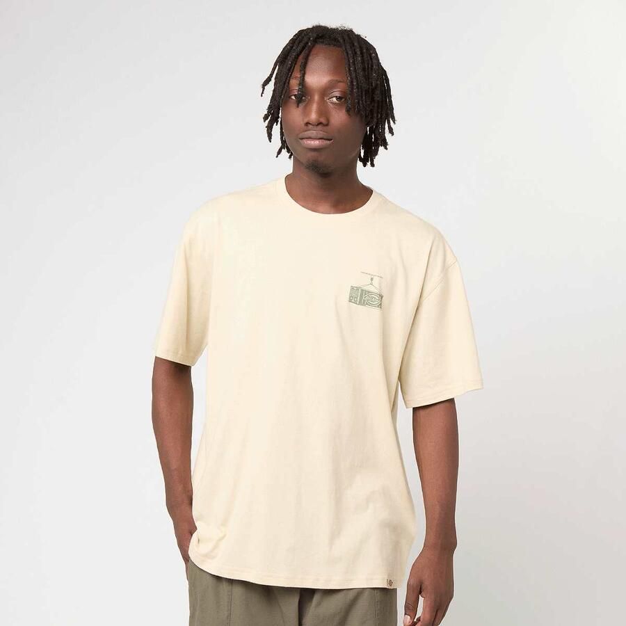 Dickies Apison Shortsleeve Tee Men T-Shirts & Polo's beige Maat XL Kleding
