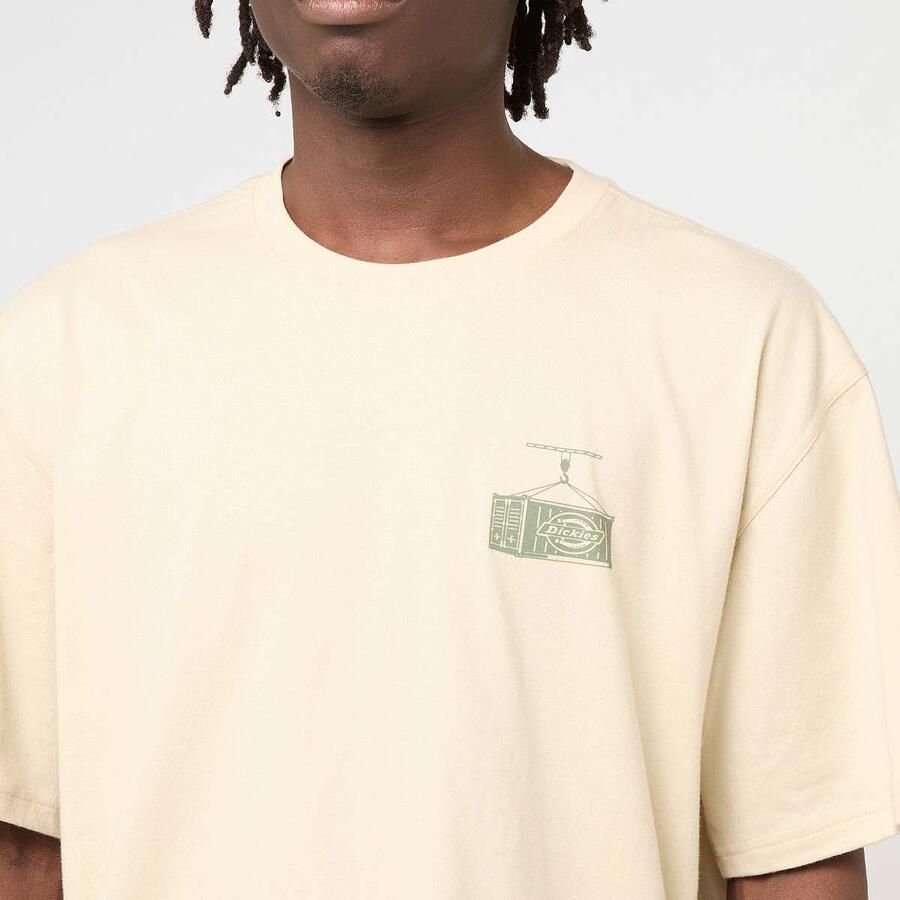 Dickies Apison Shortsleeve Tee Men T-Shirts & Polo's beige Maat XL Kleding - Foto 2