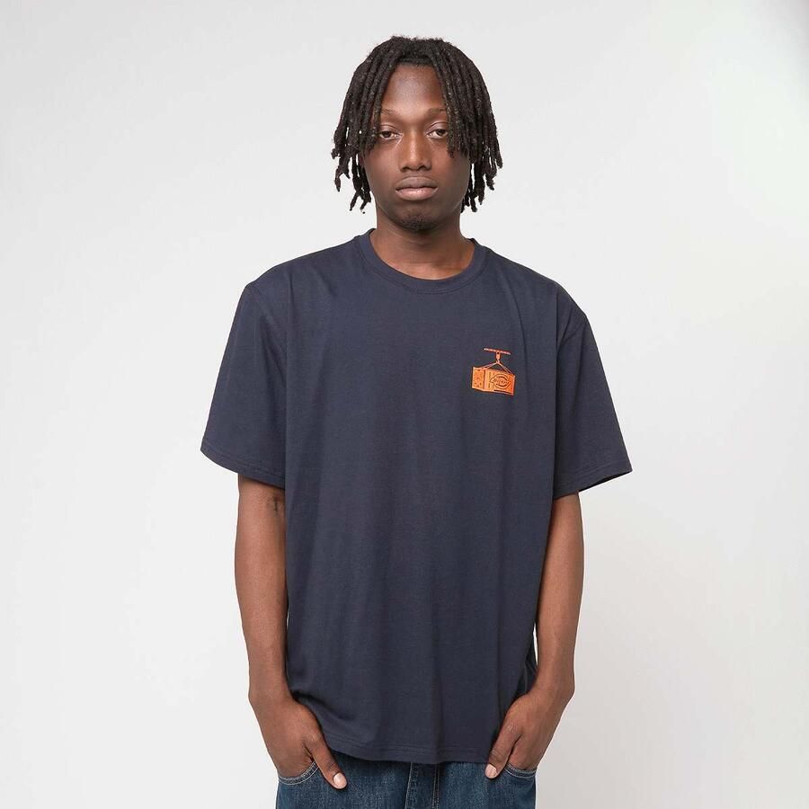 Dickies Apison Shortsleeve Tee Men T-Shirts & Polo's blauw Maat XL Kleding