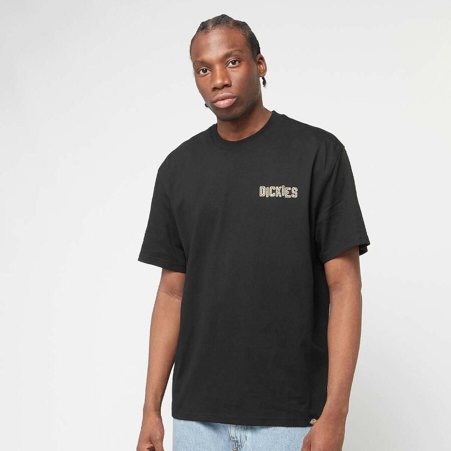 Dickies Bricklane Shortsleeve Tee men T-Shirts & Polo's zwart Maat XL Kleding