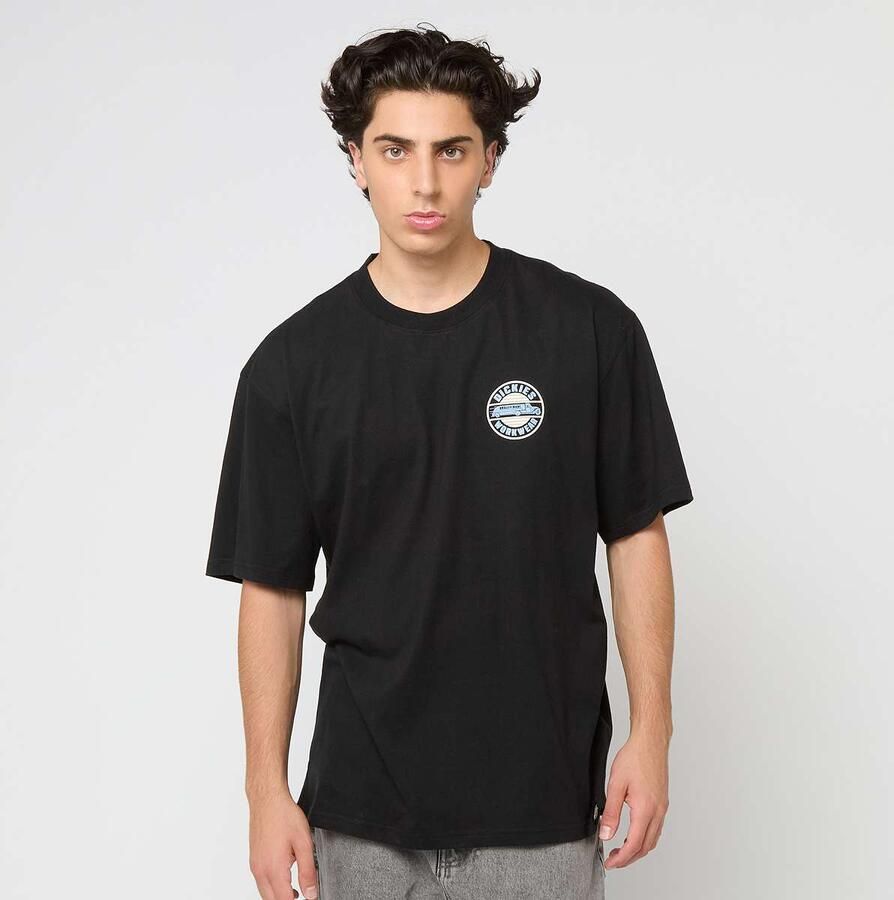 Dickies Circle Short Sleeve Tee Men T-Shirts & Polo's zwart Maat XL Kleding - Foto 2