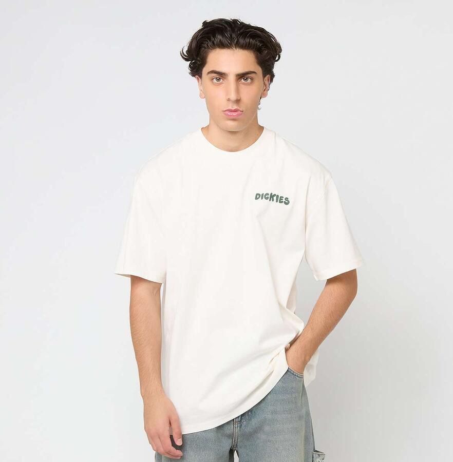 Dickies Gordonsville Short Sleeve Tee Men T-Shirts & Polo's beige Maat XL Kleding - Foto 2