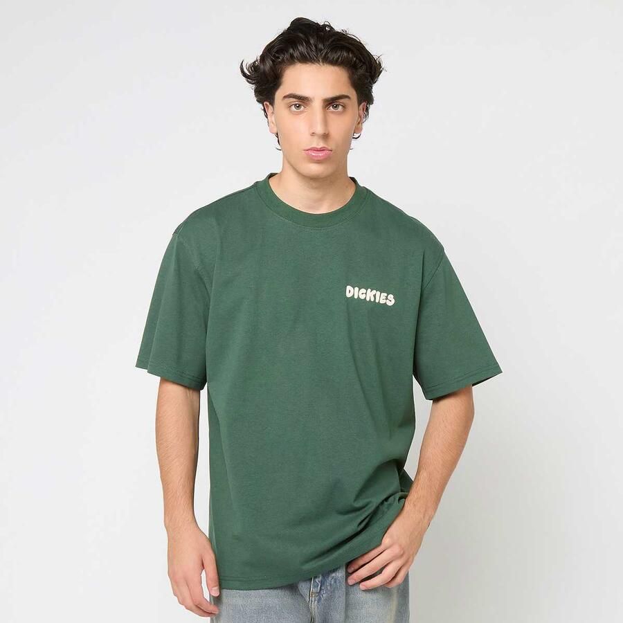 Dickies Gordonsville Short Sleeve Tee Men T-Shirts & Polo's groen Maat XL Kleding