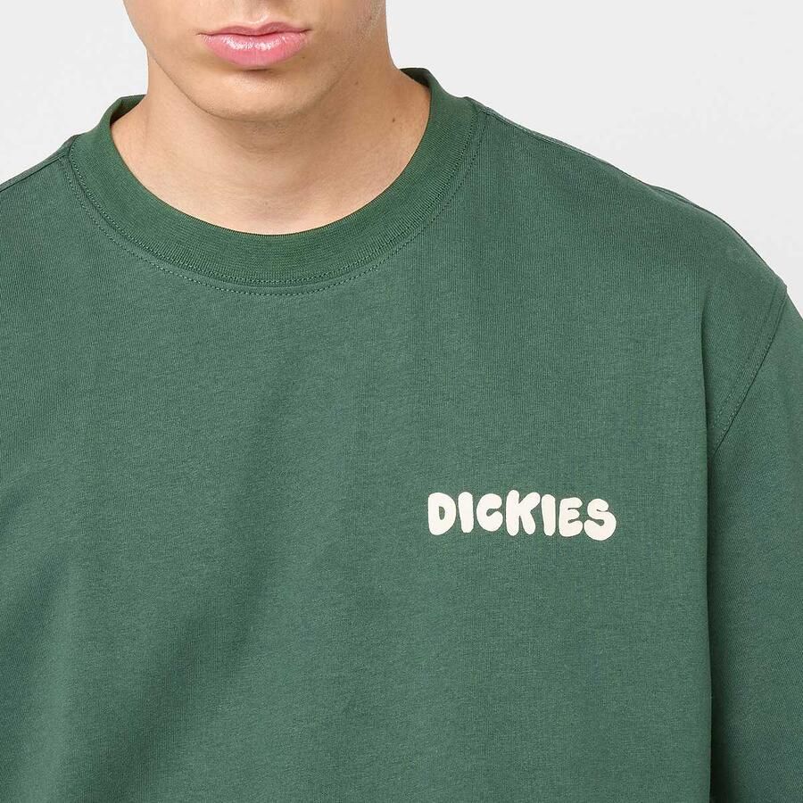 Dickies Gordonsville Short Sleeve Tee Men T-Shirts & Polo's groen Maat XL Kleding - Foto 2