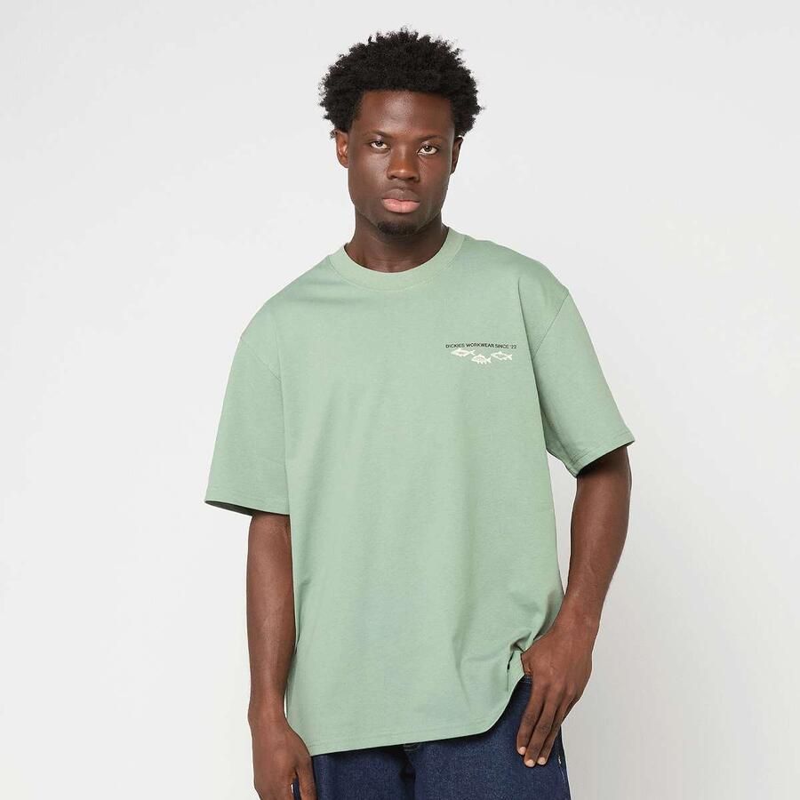 Dickies Laryville Shortsleeve Tee Men T-Shirts & Polo's groen Maat XL Kleding